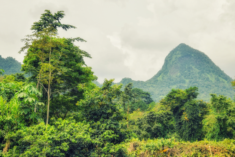 A Viagem de Uma Vida a São Tomé e Princípe | Junho 2026