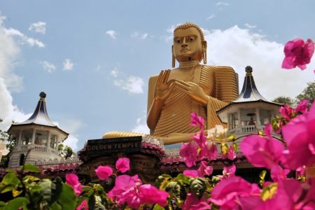 Oásis Tropical: As Maravilhas Naturais do Sri Lanka – 2ª Edição