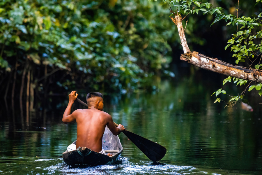 Brasil: Uma Viagem ao Coração da Amazónia