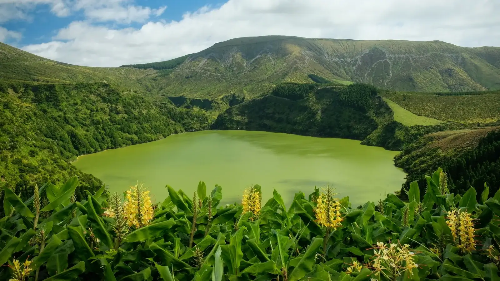 Aventura nos Açores como nunca viveste | Ilha de São Miguel 2026